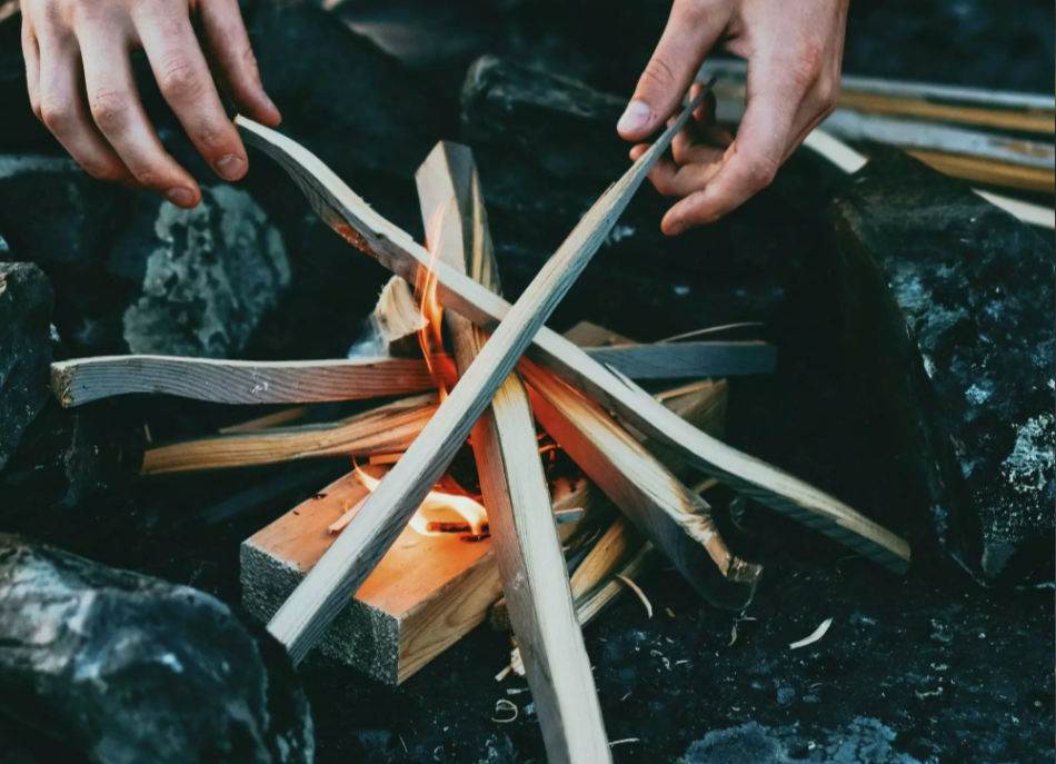 "Survival Day" – Ein Tag voller Überlebens Wissen